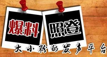 湘新闻爆料,揭秘某神秘事件背后真相